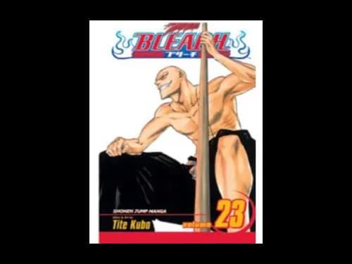Bleach Volume 23 by Tite Kubo