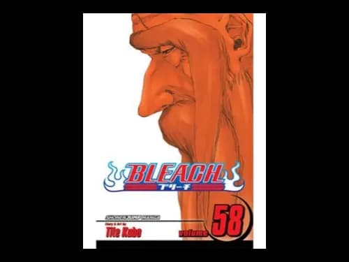 Bleach Volume 58 by Tite Kubo
