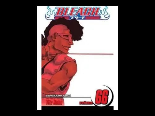 Bleach Volume 66 by Tite Kubo