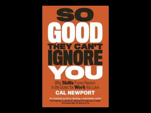 So Good Thet Cant Ignore You by Cal Newport