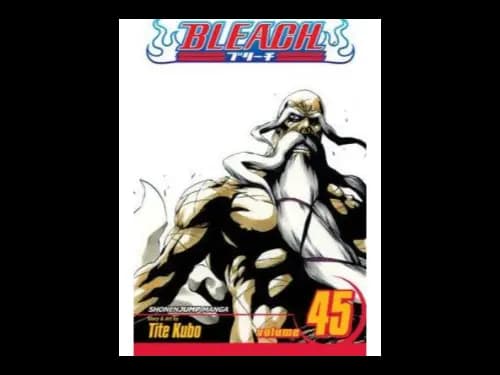 Bleach Volume 45 by Tite Kubo