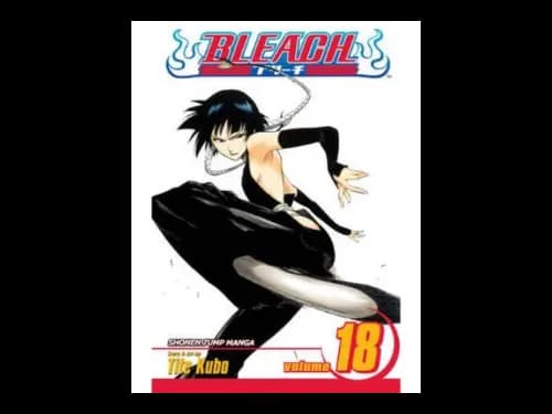 Bleach Volume 18 by Tite Kubo