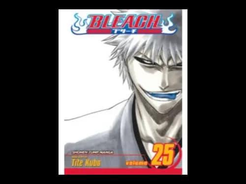 Bleach Volume 25 by Tite Kubo
