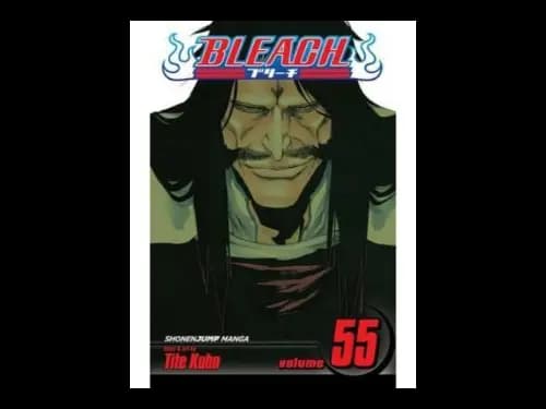 Bleach Volume 55 by Tite Kubo