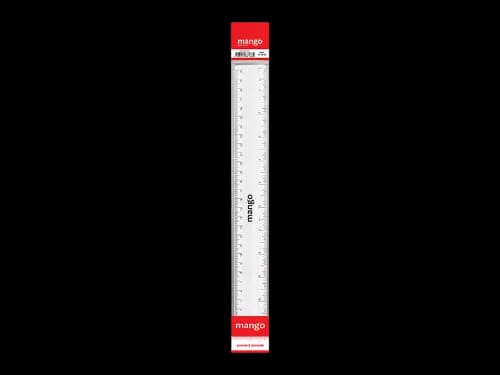 12 INCH PLASTIC RULER