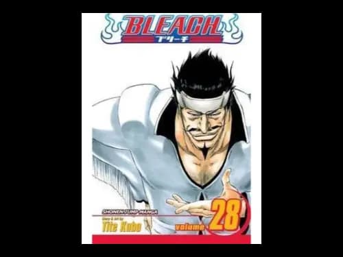 Bleach Volume 28 by Tite Kubo