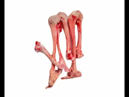 Mutton Blood Bone's