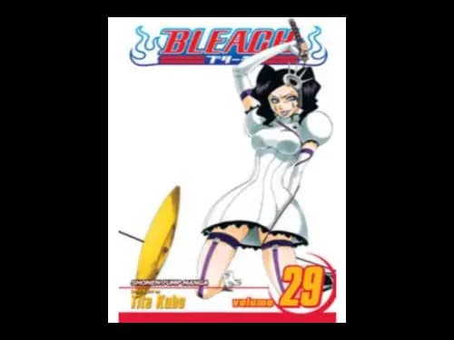 Bleach Volume 29 by Tite Kubo