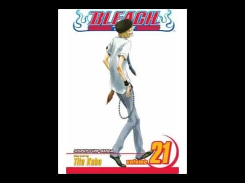 Bleach Volume 21 by Tite Kubo