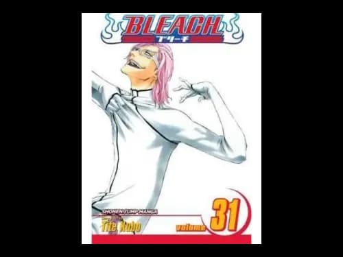 Bleach Volume 31 by Tite Kubo