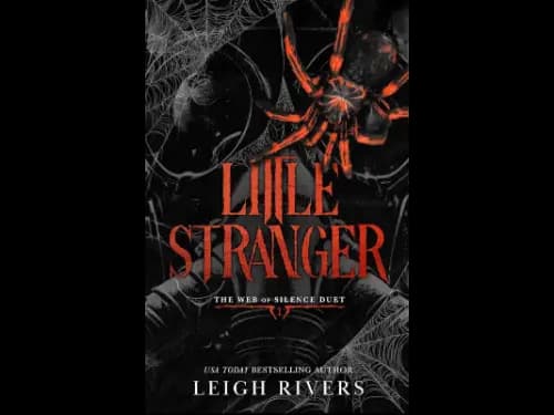 Little Stranger by Leigh Rivers