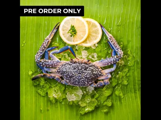 Lagoon Crab (2)