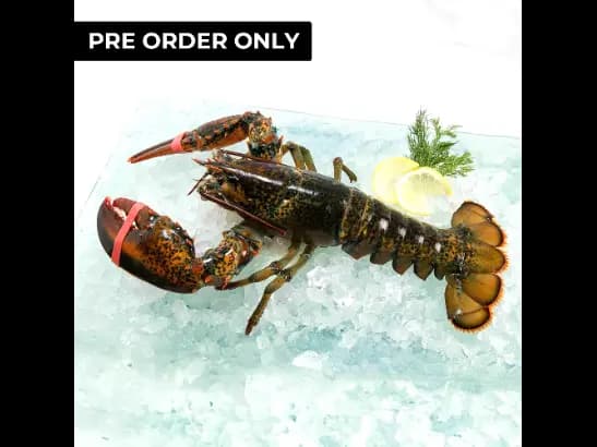 Lobsters