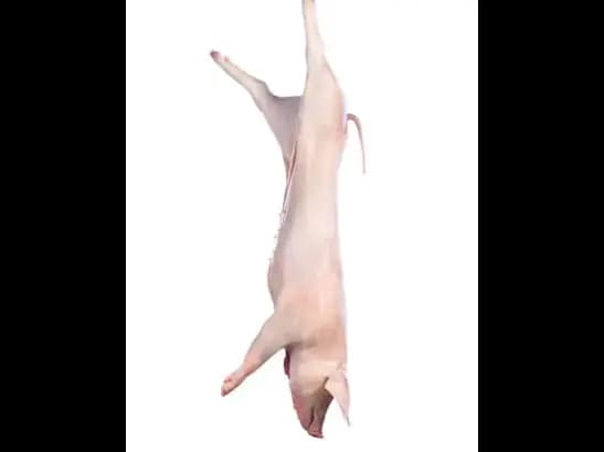 Pork - Whole