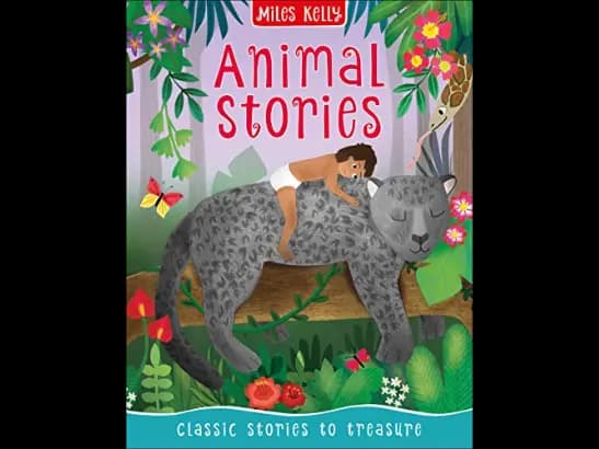 Animal Stories by Belinda Gallagher
