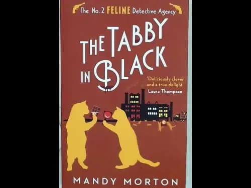 THE TABBY IN BLACK