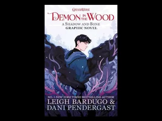 Demon in the Wood by Leigh Bardugo,Dani Pendergast