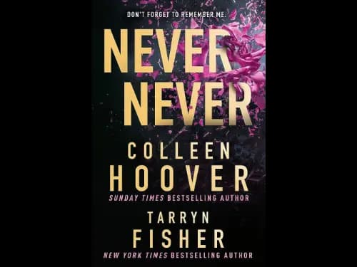 NEVER NEVER
