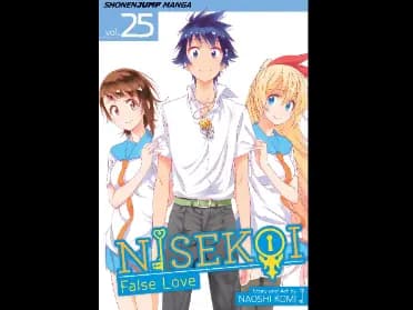 Nisekoi: False Love : Volume 25 by Naoshi Komi