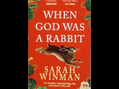 WHEN GOD WAS A RABBIT