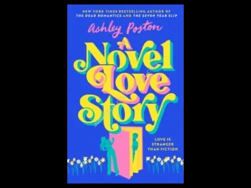NOVEL LOVE STORY