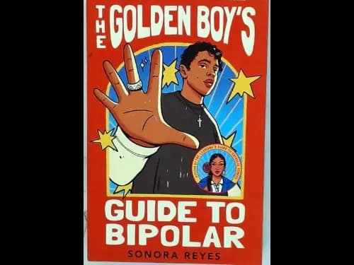 THE GOLDEN BOYS GUIDE TO BIPOLAR