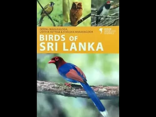 BIRDS OF SRI LANKA