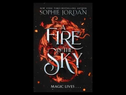 FIRE IN THE SKY