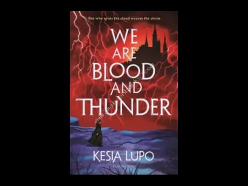 WE ARE BLOOD AND THUNDER