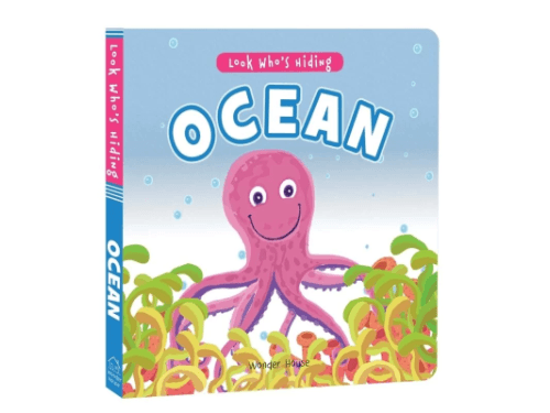 Look Who’s Hiding – Ocean By Wonder House Books