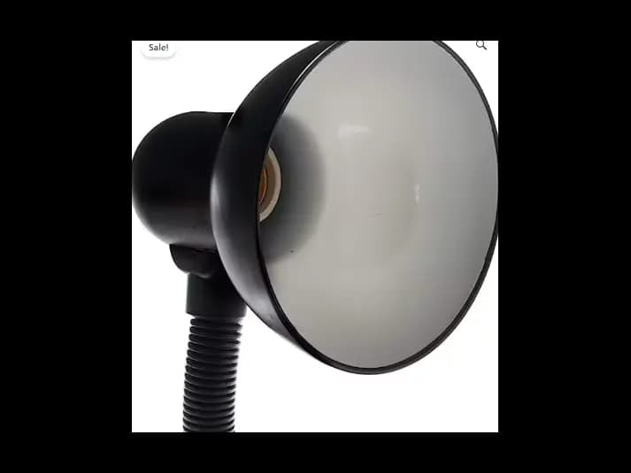 Table Lamp with Flexible Hose Neck (2)
