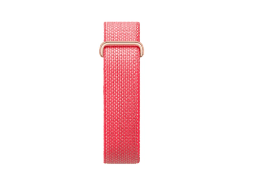 Google Fitbit Air (3)