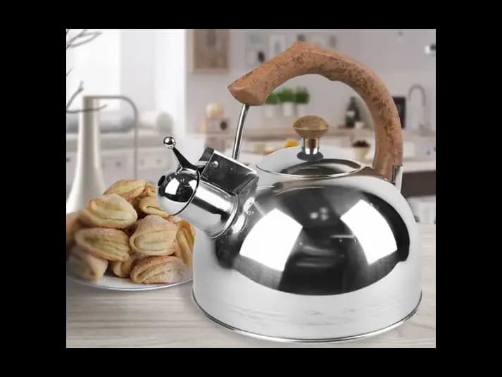 Whistling Kettle Designed Handle 2.5 Liters (2)
