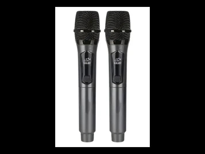 Sing-e ZQS-1M505 Professional Wireless Microphone (3)