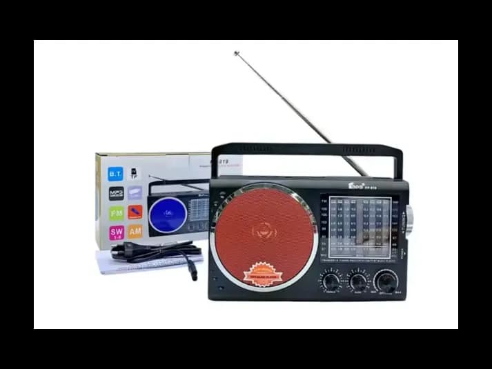 FP-819 Rechargeable Bluetooth Radio (Pen Drive)