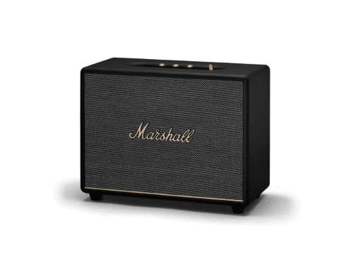 Marshall Woburn III Speaker (3)