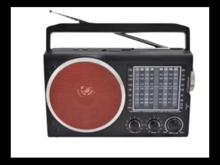 FP-819 Rechargeable Bluetooth Radio (Pen Drive) (2)