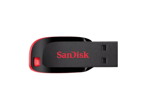 SanDisk Cruzer Blade USB Flash Drive (Pen Drive) (2)