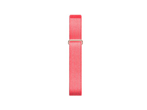 Google Fitbit Air (2)