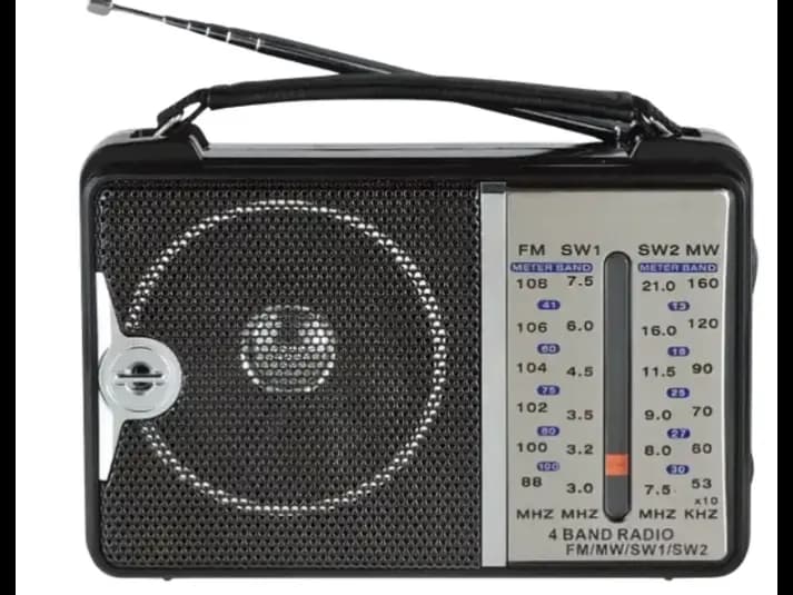 Den-B/ MSD High Quality FM Radio