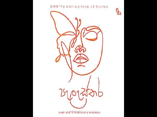පැලැස්තර