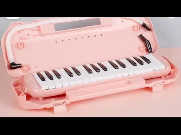Bee Melodica 32 Key with Box (PINK) (5)