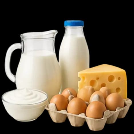 Dairy
