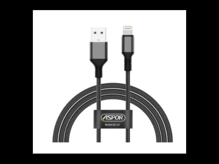 Aspor 2-in-1 Lightning Cable 3.1A