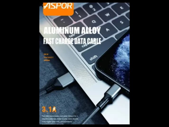 Aspor 2-in-1 Lightning Cable 3.1A (2)