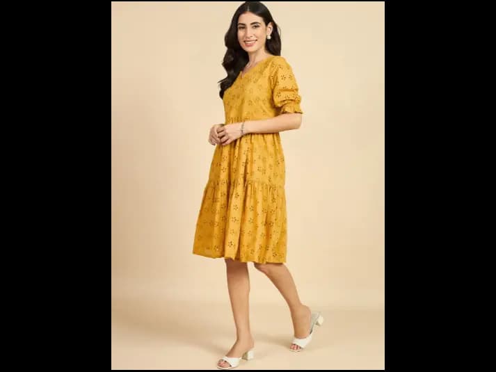 Self Design Puff Sleeves Semi Sheer Schiffli Pure Cotton Fit & Flare Dress (2)