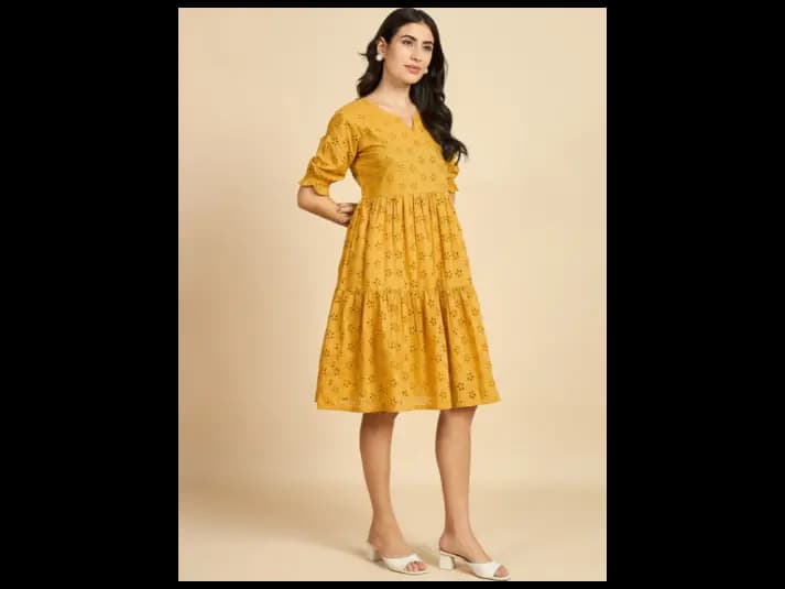 Self Design Puff Sleeves Semi Sheer Schiffli Pure Cotton Fit & Flare Dress (3)