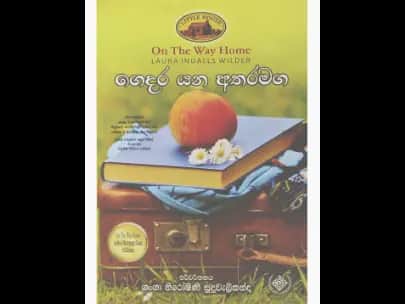 ගෙදර යන අතරමග