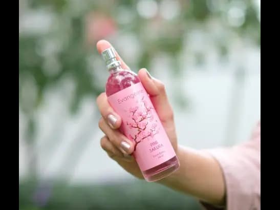 Evangeline Pink Sakura Perfume 100ml (2)