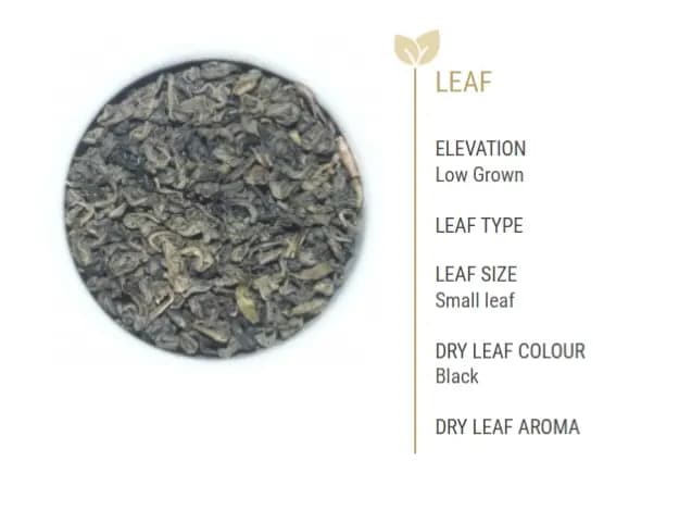 Battler - GOLDEN GIANT CARTON - Ceylon Green Tea - Green Star (2)